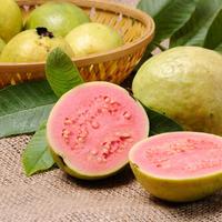 Gambar Buah Lokal Jambu Biji batu Guava Merah - Buah Musiman dari KBZR BGR undefined 1 Tokopedia