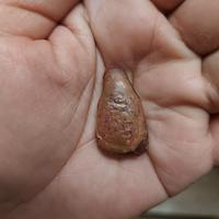 Gambar LEKLAI SURIYAN RACHA LP TUAD CAVE NATURAL LP SOMPORN BLESSED THAI13 dari Real PusakaAlami undefined 5 Tokopedia
