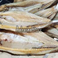 Gambar ikan asin gabus daging potong dari Rffive undefined 1 Tokopedia