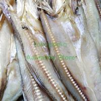 Gambar ikan asin gabus daging potong dari Rffive undefined 5 Tokopedia