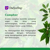 Gambar 5ml Camphor Essential Oil 100% Alami Minyak Atsiri Kamper dari Darjeeling Store undefined 2 Tokopedia