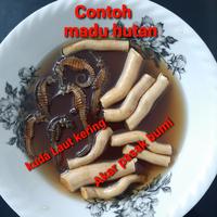 Gambar herbal Akar pasak bumi 100% Asli 50gram dari Berbagi Kasih undefined 4 Tokopedia