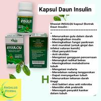 Gambar INSULFIT kapsul daun insulin untuk mengobati Diabetes dari Andalus Herbal undefined 1 Tokopedia