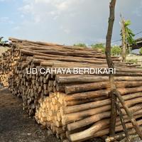 Gambar Kayu Dolken Gelam 8 10 cm Super Kupas Kulit Jakarta dari UD CAHAYA BERDIKARI undefined 3 Tokopedia