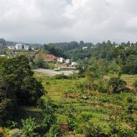 Gambar Tanah Kebun Jual BU Murah di Puncak dari Tanah Kavling TV undefined 4 Tokopedia