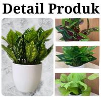 Gambar Tanaman Hias Daun Keladi Plastik Artificial Ornamen Dekorasi Rumah - Varian 12 dari UNICO.indonesia undefined 4 Tokopedia