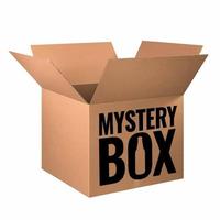 Gambar Mistery Box Perlengkapan Alat Alat Safety dari Bakol Safety Nusantara undefined 1 Tokopedia