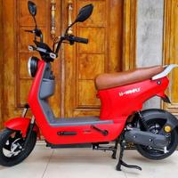 Gambar SEPEDA LISTRIK U-WINFLY DRAGONFLY 8 dari Toko Sepeda Bulak undefined 4 Tokopedia