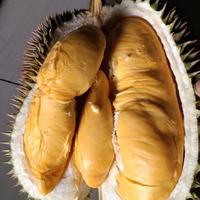 Gambar Durian Kanyao Best Seller 2kg Bulat Utuh Fresh dari Tulus Durian undefined 1 Tokopedia