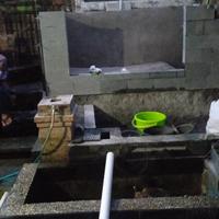 Gambar kolam minimalis taman ikan koi dari syariflandscape undefined 1 Tokopedia