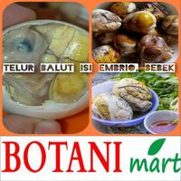 Gambar telur balut bebek 5pcs dari BOTANI MART undefined 1 Tokopedia
