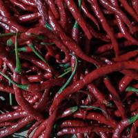Gambar Cabe Merah Keriting - 500gr dari Juragan Sayur Express undefined 1 Tokopedia