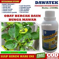 Gambar Obat Bercak Daun Bunga Mawar Terbaik 250ML DAWATEK Fungisida Organik dari ISTIQOMAH STORE TASIKMALAYA undefined 1 Tokopedia