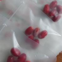 Gambar BUAH MIRACLE / MIRACLE FRUIT / MIRACLE BERRY dari EVERYTHINGSTUFF undefined 5 Tokopedia