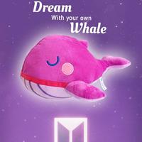 Gambar Boneka tiny tan whale BTS ikan paus ungu - L 35x19 dari caecilputri undefined 3 Tokopedia