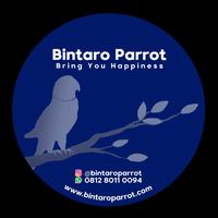Gambar JnJ DELUXE MIX 1kg / Pakan Burung Paruh Bengkok Medium & Large parrot dari Bintaro Parrot undefined 2 Tokopedia