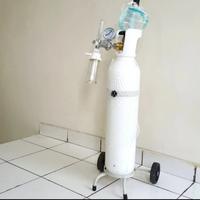 Gambar tabung oksigen 1m3 set (tabung isi + Troli + Regulator) 3in1/ paket dari Davtwo Medical undefined 2 Tokopedia