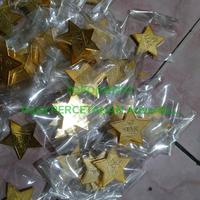 Gambar pin emas/PIN BINTANG/ PIN COSTUM dari Aqila PERCETAKAN Advertising undefined 3 Tokopedia