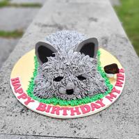 Gambar Latezza Custom Dog 3D Cake dari Gaby Bella Florist undefined 4 Tokopedia