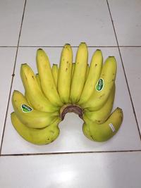 Gambar Pisang cavendish dari CV. Anugerah Bumi Indonesia undefined 1 Tokopedia