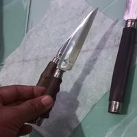 Gambar Pisau mini imut Baja KTI anti Karat - Pisau dari Peralatan Berkebun Sajam undefined 1 Tokopedia