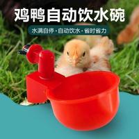 Gambar Tempat Minum Otomatis Mangkuk Minum Ayam Dispenser Air Minum Unggas dari Mengirim-mall undefined 4 Tokopedia