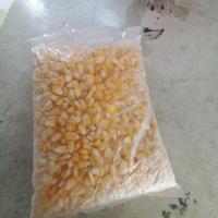Gambar Jagung manis pipil 1kg | Jagung manis jasuke 1kg dari Allanbeef undefined 3 Tokopedia