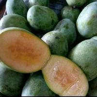 Gambar Mangga Manalagi Madu - 1 kg dari Siti Fresh undefined 2 Tokopedia