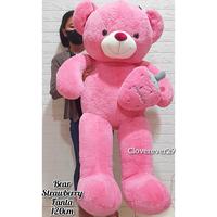 Gambar Boneka Teddy Bear Strawberry Super Jumbo - Pink 120cm dari Cloverever29 undefined 1 Tokopedia