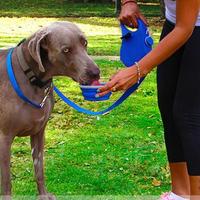Gambar Outdoor Pet Supplies Bring Your Own Water Bottle Pet Leash 3 In dari Tools Collection&#39;s undefined 4 Tokopedia