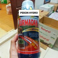 Gambar Herbisida Turmadan 328 SL 1 Liter - Racun Rumput Kontak dari Pekon Hydro undefined 1 Tokopedia