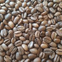 Gambar Kopi Arabica Sajang Sembalun Natural Coffee Beans Filter 200gram dari MeetosKopi undefined 2 Tokopedia