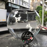 Gambar (GOJEK) AQUARIUM BULAT 2 LITER / FISH BOWL - 2LITER dari Hola Fishie undefined 1 Tokopedia