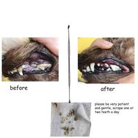 Gambar Stainless Pet Scaling Tool Alat Pembersih Karang Gigi Anjing Kucing - Perak dari Abeeing undefined 5 Tokopedia