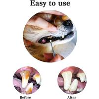 Gambar Stainless Pet Scaling Tool Alat Pembersih Karang Gigi Anjing Kucing - Perak dari Abeeing undefined 4 Tokopedia