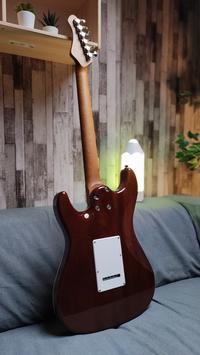 Gambar SQOE SEIB900 HSS ROASTED MAPLE SERIES IN CARRIBEAN FADE SURF dari Asia Pro Sound undefined 4 Tokopedia