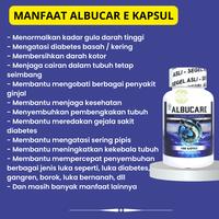 Gambar Normalisasi Gula Darah Alami Tanpa Insulin Albucare Kapsul 100% Ekstrak Ikan Gabus BPOM Halal dari Wajada Herbal undefined 3 Tokopedia