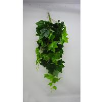 Gambar DAUN HIAS/ DAUN PALSU/ DAUN DEKORASI/ DAUN IMPORT/ MEDIUM IVY HANGING dari Evergreen Trees Shop undefined 3 Tokopedia