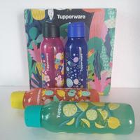 Gambar Tupperware Eco Arts Bottle 750 ml Import Malaysia Botol Minum Bertutup - Merah dari citra gifts&pets undefined 3 Tokopedia