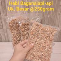Gambar Ebi Udang Kering Besar 1Kg Bagan Siapi-api Tanpa Pewarna Tanpa Pengawet - 250 gram dari Nelayan Sukses_NEW undefined 5 Tokopedia