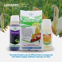Gambar Fungisida Luna Smart 50ml Fluopiram Trifloksistrobin Obat Jamur Cabai dari CV. Lumayan Group undefined 4 Tokopedia