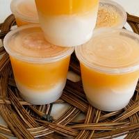 Gambar 1 box isi 10 pieces puding Coco Mango dari tendercoco undefined 4 Tokopedia
