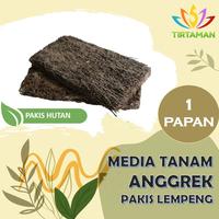 Gambar Media Tanam Anggrek Pakis Lempeng / Papan / Kotak dari TIRTAMAN undefined 3 Tokopedia