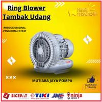 Gambar Ring Blower Tambak Udang Rotor HB-2200 3 Phase 2200 Watt dari mutiara jaya pompa undefined 1 Tokopedia