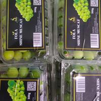 Gambar Buah Anggur Hijau Shine Muscat Manis Segar - 500gr dari Omah Buah Tgr undefined 2 Tokopedia