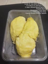 Gambar Durian Kupas / Durpas Montong Palu 500 gram dari Arta Nusantara undefined 4 Tokopedia