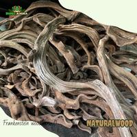 Gambar kayu kandang bioactive terrarium trinil (frankenstein) dari Dunia Anura 99 undefined 2 Tokopedia