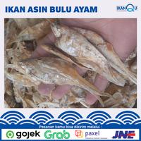 Gambar Ikan Asin Bulu Ayam KERING (tanpa pengawet) / Bulu Ayam Ikan Asin - 250gr dari Ikan Qu Jakarta undefined 5 Tokopedia