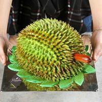 Gambar Momolin Bakery Kue Ulang Tahun Unik Bentuk Durian - Cake Model Duren dari Momolin Bakery undefined 5 Tokopedia