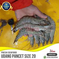 Gambar Jual Udang Pancet Sz 20 Segar/Windu Udang Seafood/Udang Tiger Fresh - 500gr dari Jual Salmon Segar undefined 4 Tokopedia